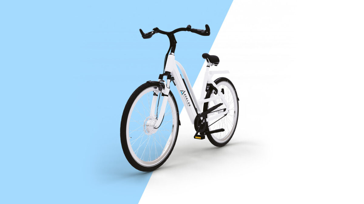 ELECTRIC BIKE RENTAL