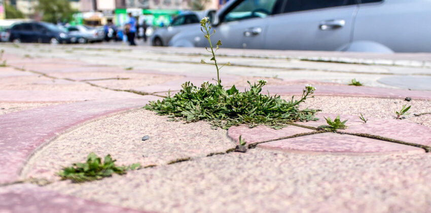 Jazda na 5.o: Dziury po odwilży. Jak ograniczyć koszty (opony, felgi, zawieszenie)?